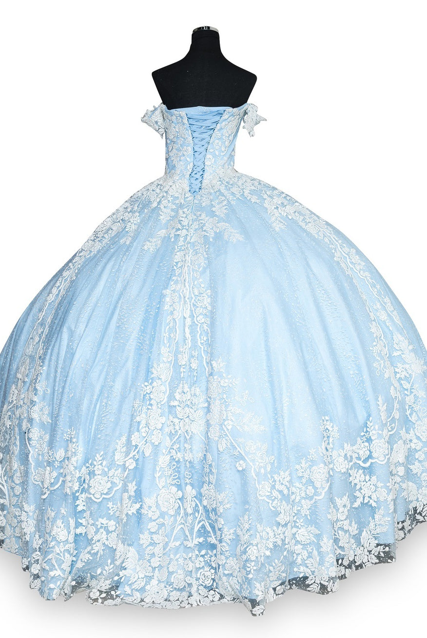Back of blue princess ball gown wedding dress