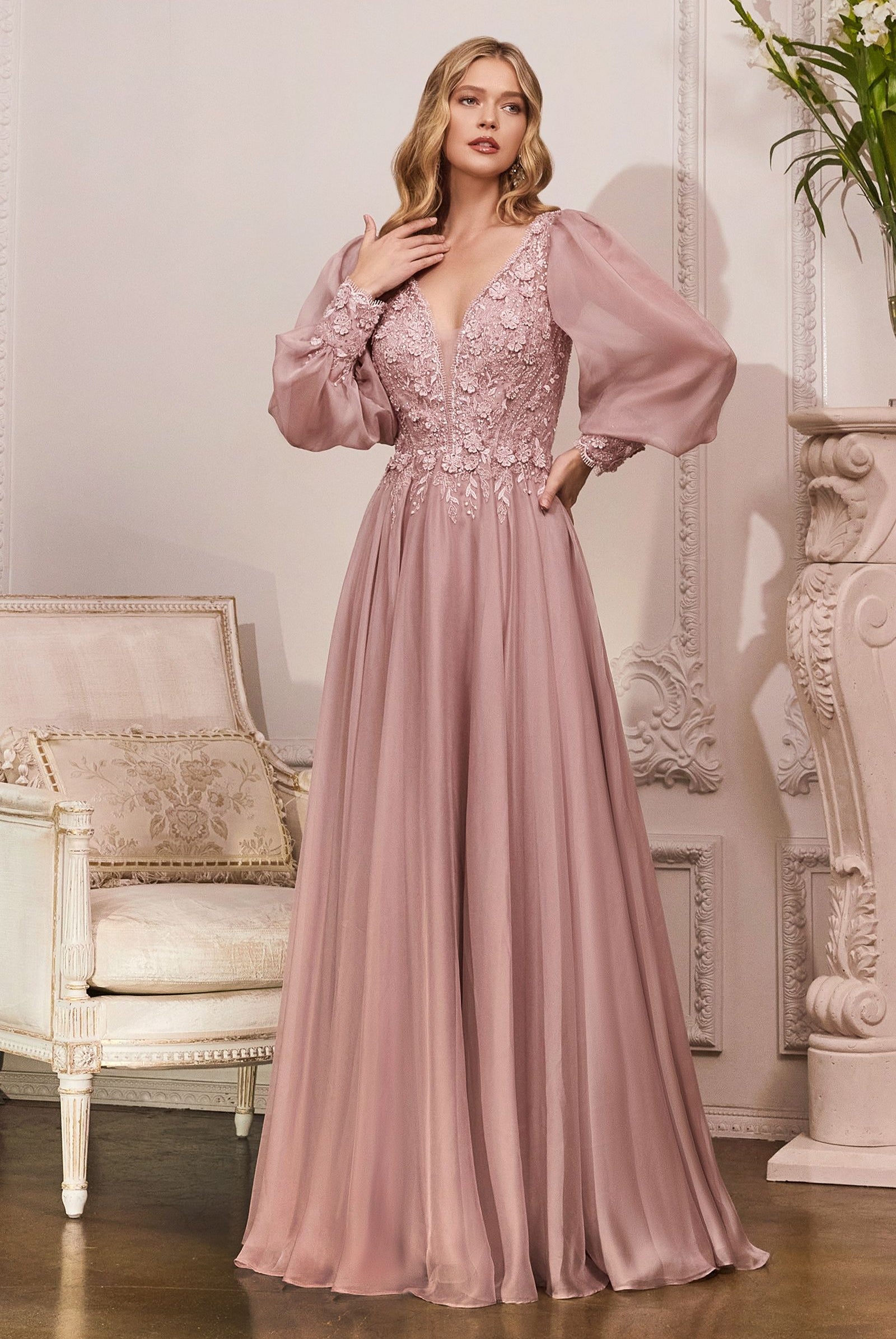 Chiffon Evening Gown, Long Sleeve-smcdress
