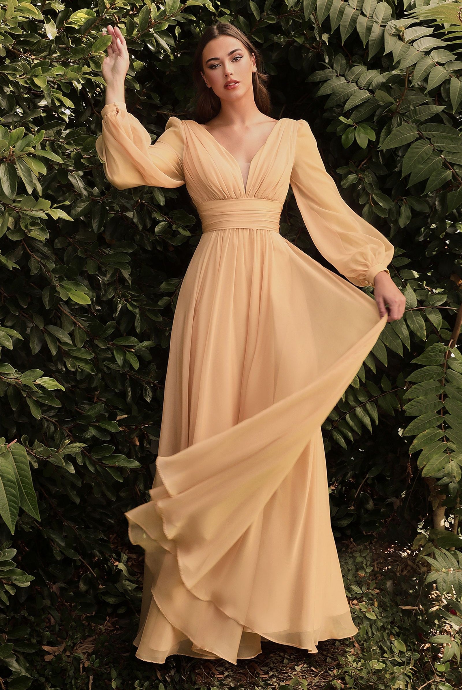 Chiffon Long Sleeve Dress-smcdress