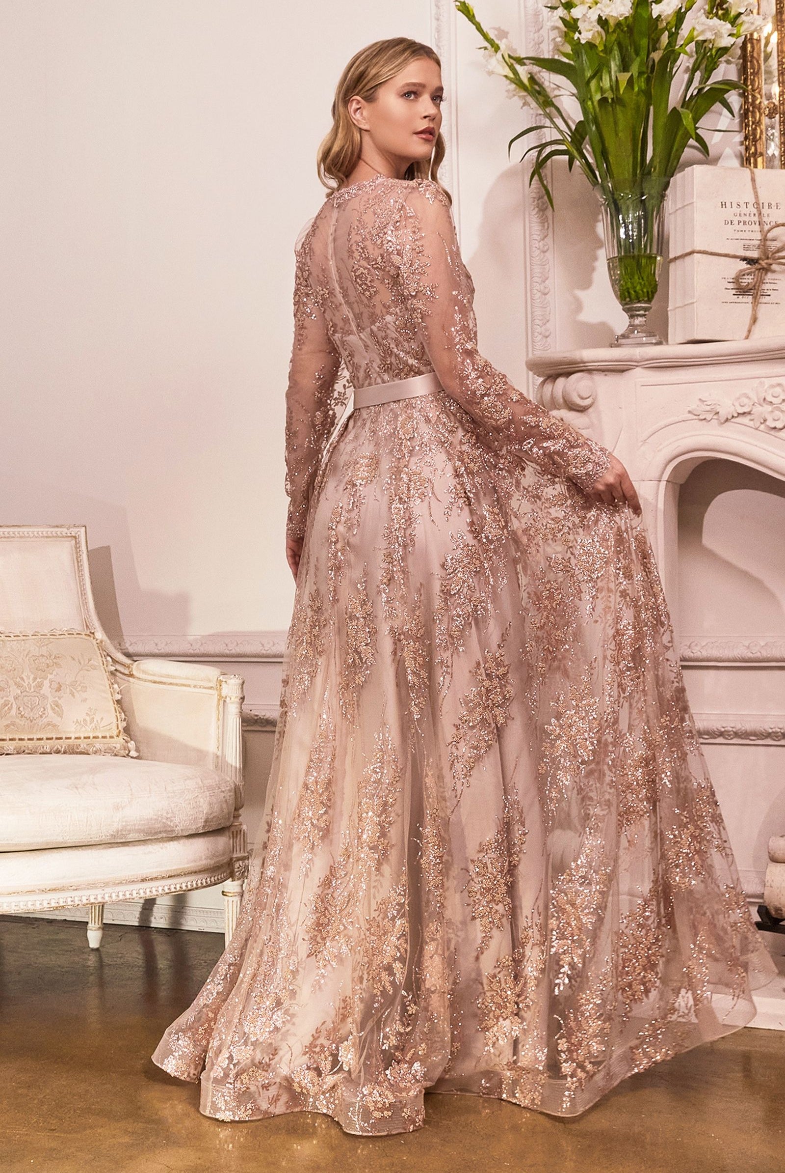 Embellished Ball Gown, Long Sleeve-smcdress