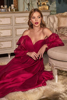 LONG SLEEVE CHIFFON A-LINE DRESS-smcdress