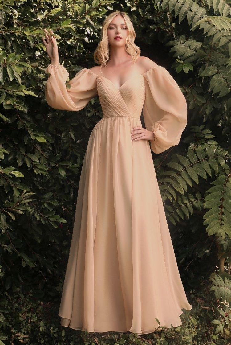LONG SLEEVE CHIFFON A-LINE DRESS-smcdress