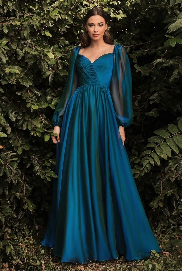 LONG SLEEVE CHIFFON A-LINE DRESS-smcdress