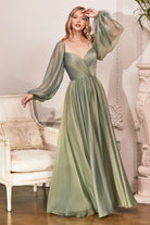 LONG SLEEVE CHIFFON A-LINE DRESS-smcdress