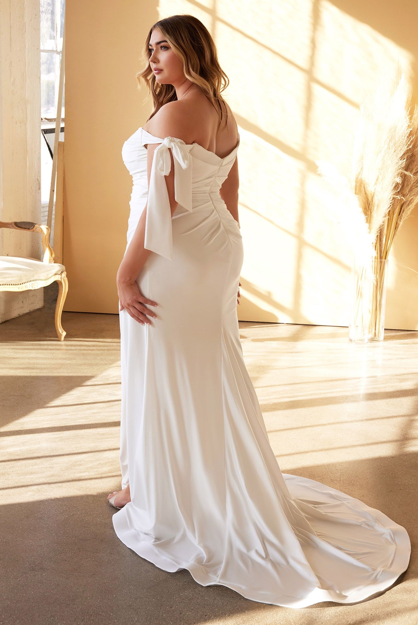 PLUS SIZE TIE SLEEVE PLEATED MERMAID GOWN-smcdress