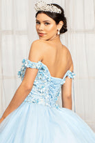 3D Floral Applique Embellished Quinceanera Dress-smcdress