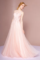Floral Lace Embellished Bodice Mesh Dress-smcdress