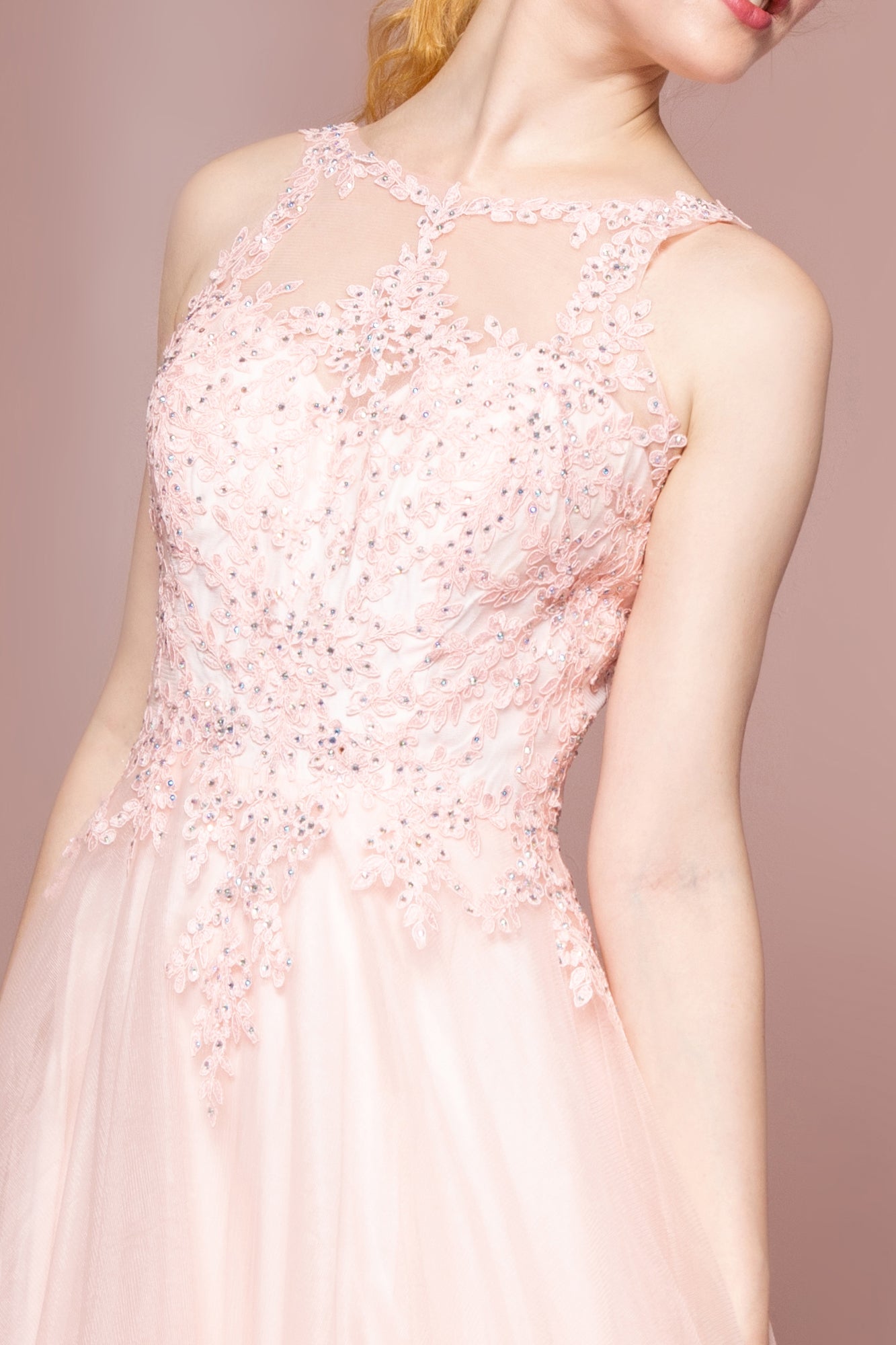 Floral Lace Embellished Bodice Mesh Dress-smcdress