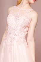 Floral Lace Embellished Bodice Mesh Dress-smcdress