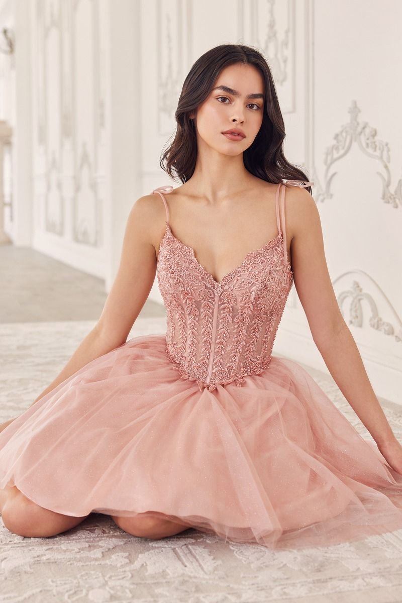 【Dior】A-line mini dress with tulle skirt【ランク:A】 Buy Designer A-Line Short Dresses Online - My Fashion