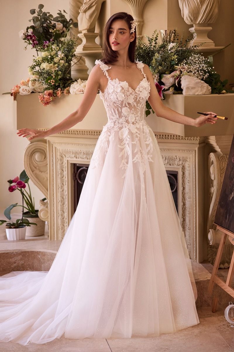 Lace Appliqued A-Line Tulle Wedding Dress | Bridal Gown