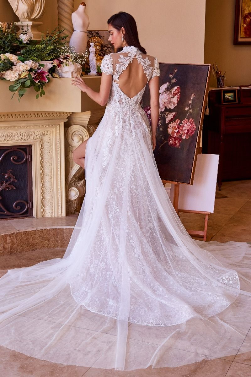 LACE & TULLE SHORT SLEEVE WEDDING GOWN CDWL035 | SMCDress LACE & TULLE SHORT SLEEVE WEDDING GOWN CDWL035 | SMCDress