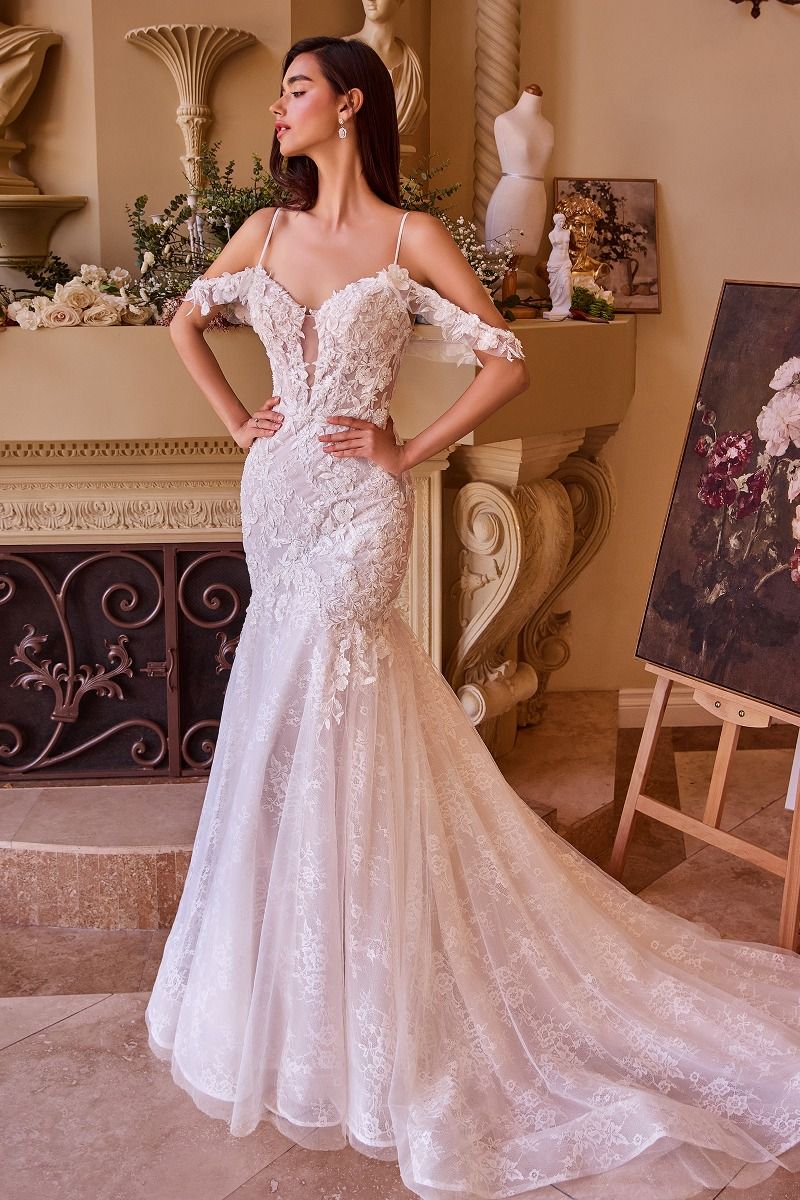 FITTED LACE MERMAID WEDDING DRESS CDWL051 | SMCDress FITTED LACE MERMAID WEDDING DRESS CDWL051 | SMCDress