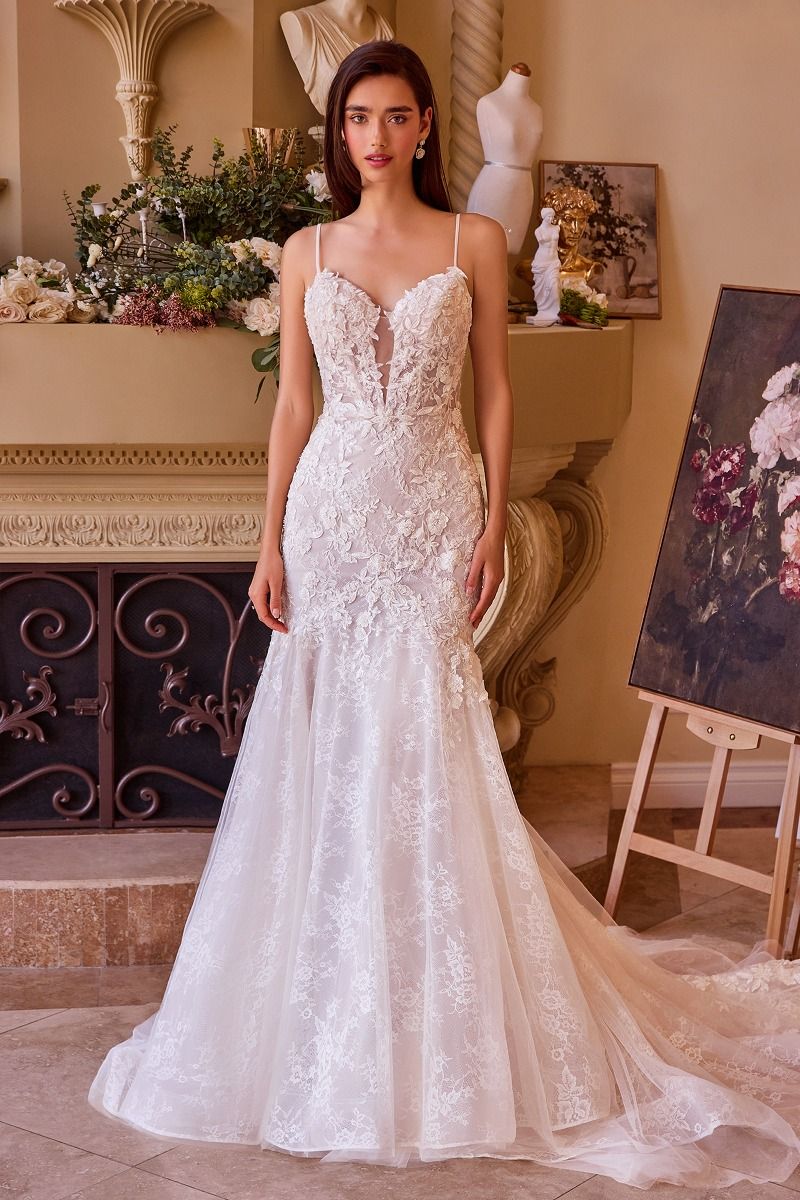 FITTED LACE MERMAID WEDDING DRESS CDWL051 | SMCDress FITTED LACE MERMAID WEDDING DRESS CDWL051 | SMCDress