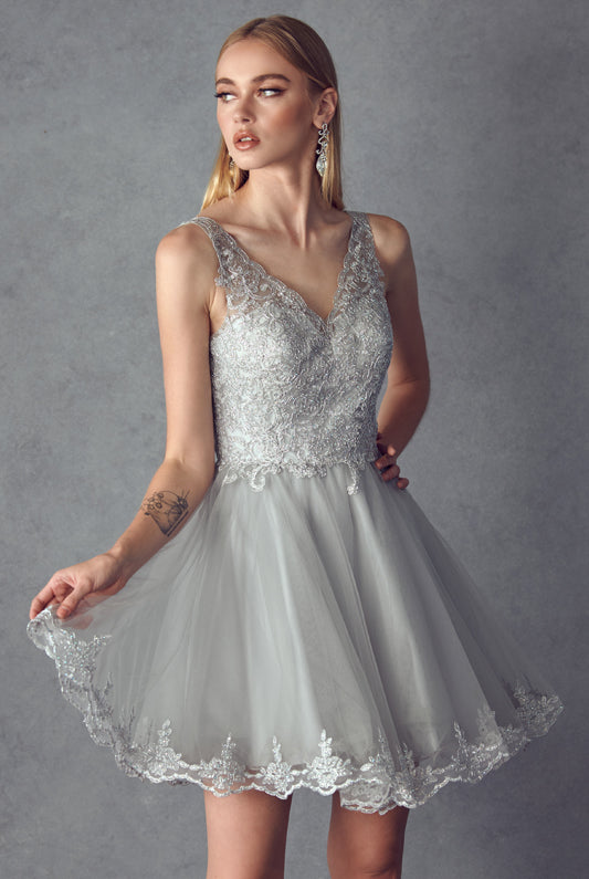 Silver embroidered bodice short dress
