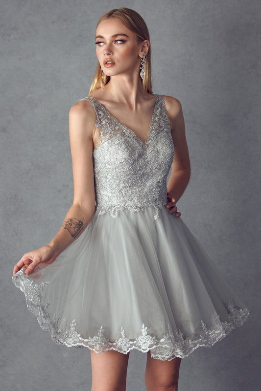 Silver embroidered bodice short dress