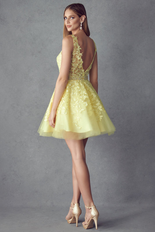 Floral lace appliqued short dress-smcdress