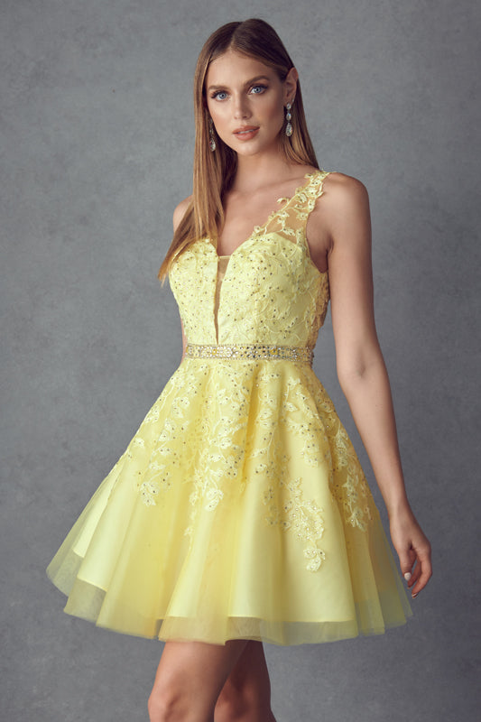 Floral lace appliqued short dress-smcdress