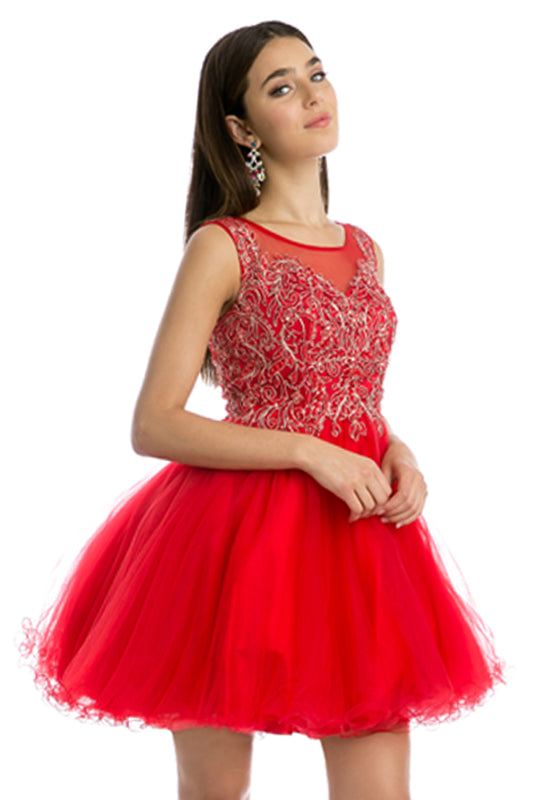 Embroidered Bodice Tulle Skirt Dress, Short. For Cocktail & Homecoming-smcdress