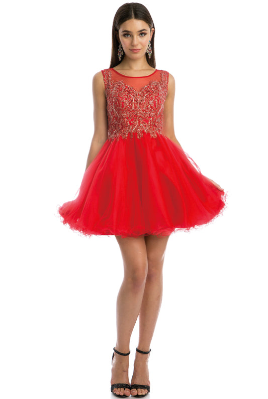 Embroidered Bodice Tulle Skirt Dress, Short. For Cocktail & Homecoming-smcdress