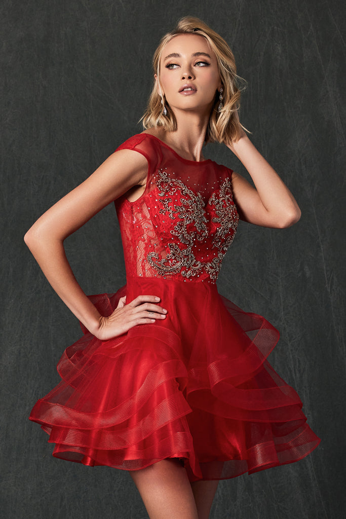 Lace Applique Bodice Dress for Cocktail & Homecoming-smcdress
