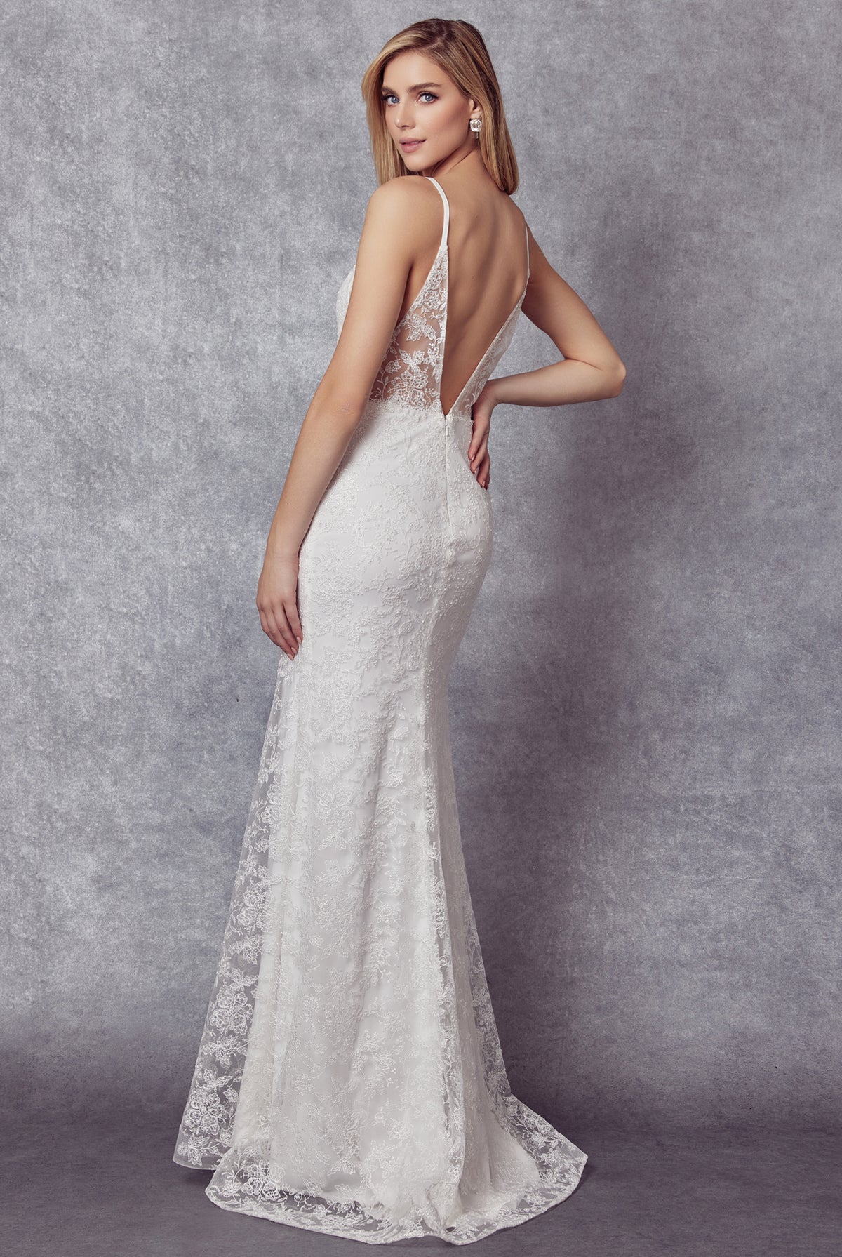 Embroidered Lace V-Neck Evening & Prom Dress with Open Back Illusion-smcdress