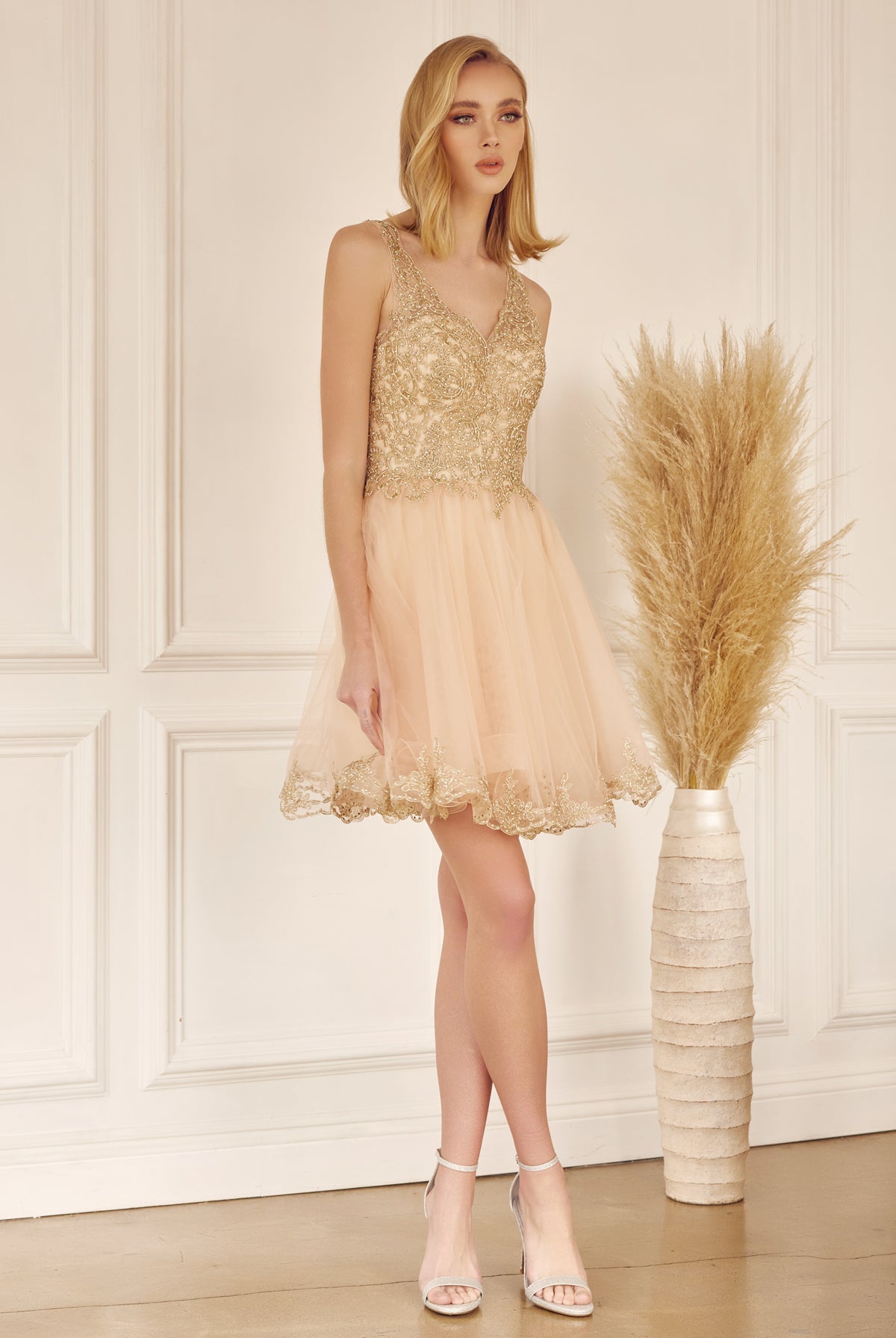 Champagne embroidered bodice short dress