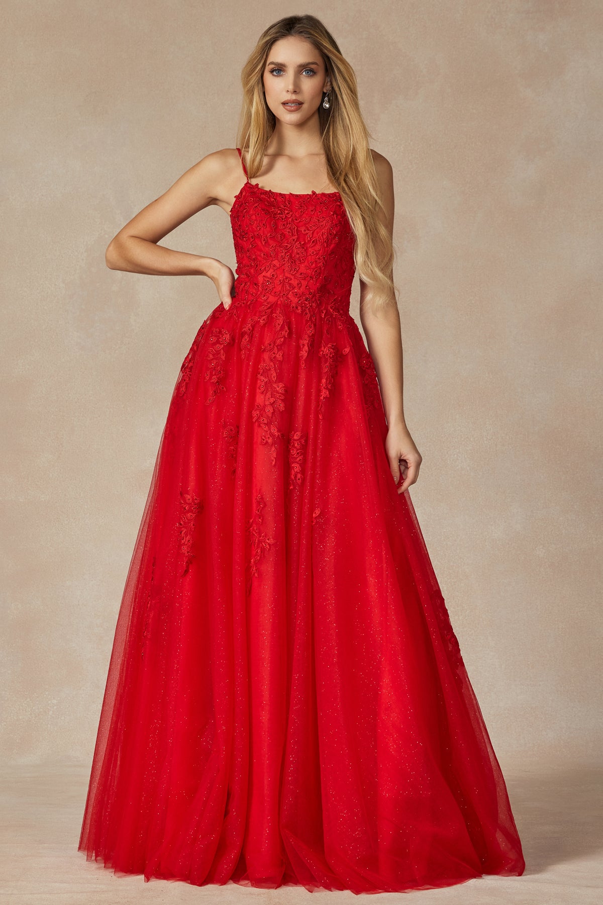 Floral applique tulle prom ball gown-smcdress