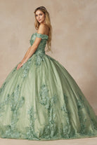 3D floral appliques with off shoulder ball gown-smcdress