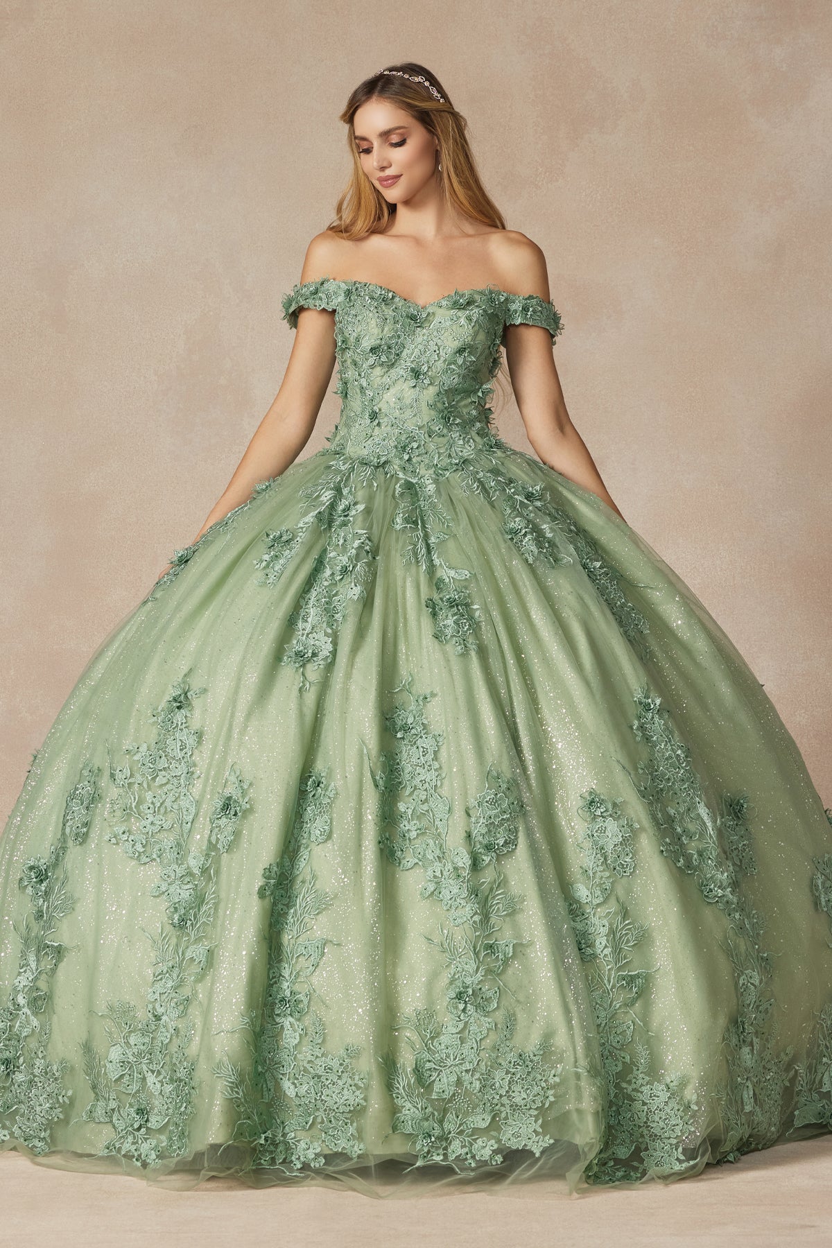 3D floral appliques with off shoulder ball gown-smcdress