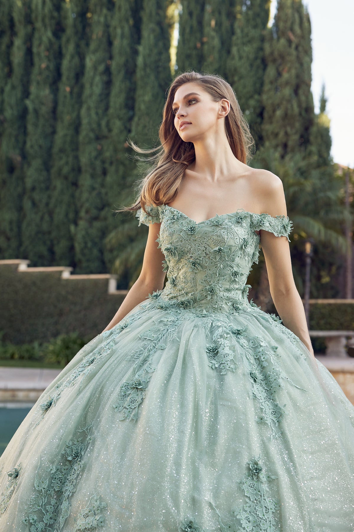 3D floral appliques with off shoulder ball gown-smcdress