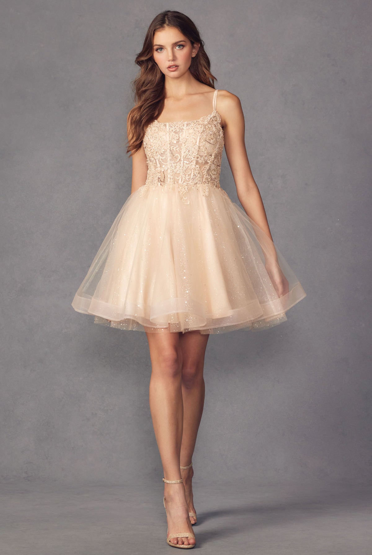 Champagne embroidered bodice short dress