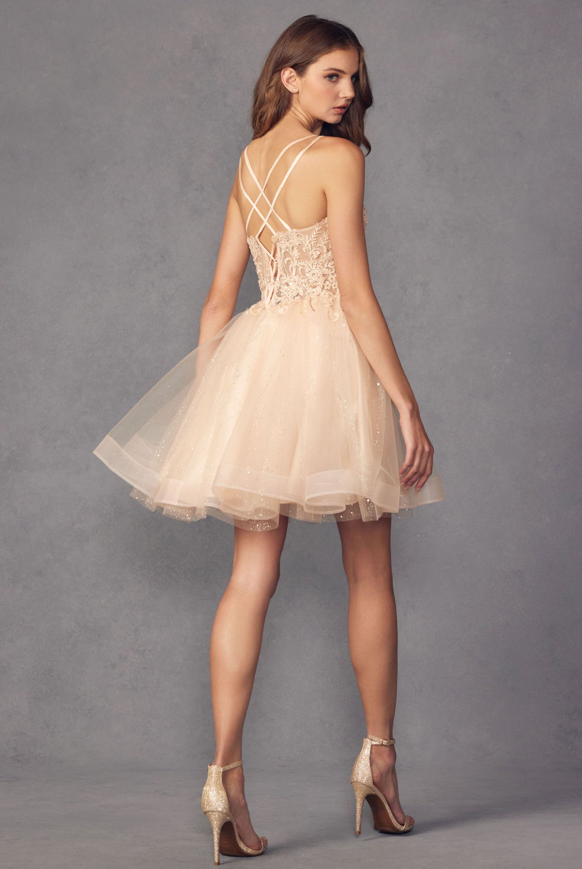 Back of champagne embroidered bodice short dress