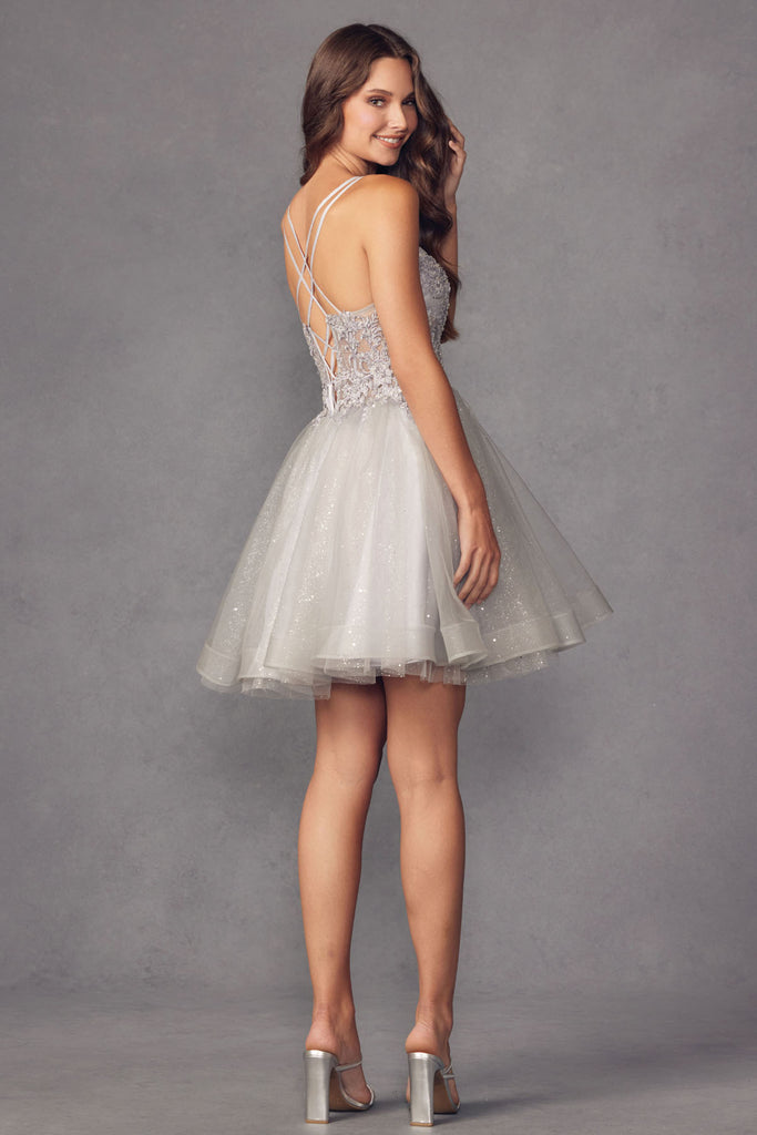 Back of silver embroidered bodice short dress