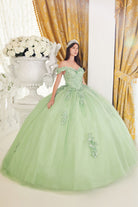 Lace tulle ball gown with off-shoulder layers-smcdress