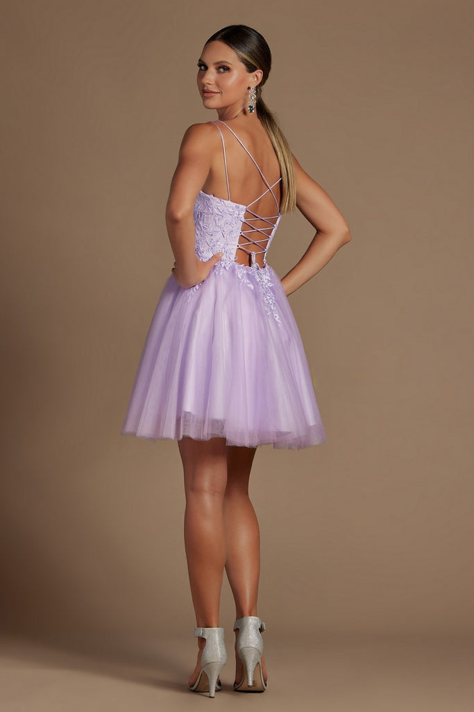 Embroidered Babydoll Corset Short Dress for Homecoming & Cocktail-smcdress