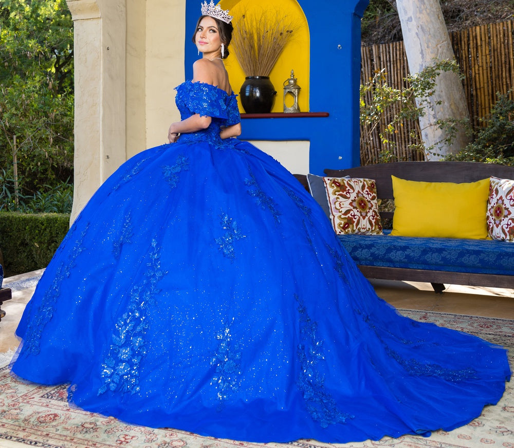 Royal lace train prom dress alternative