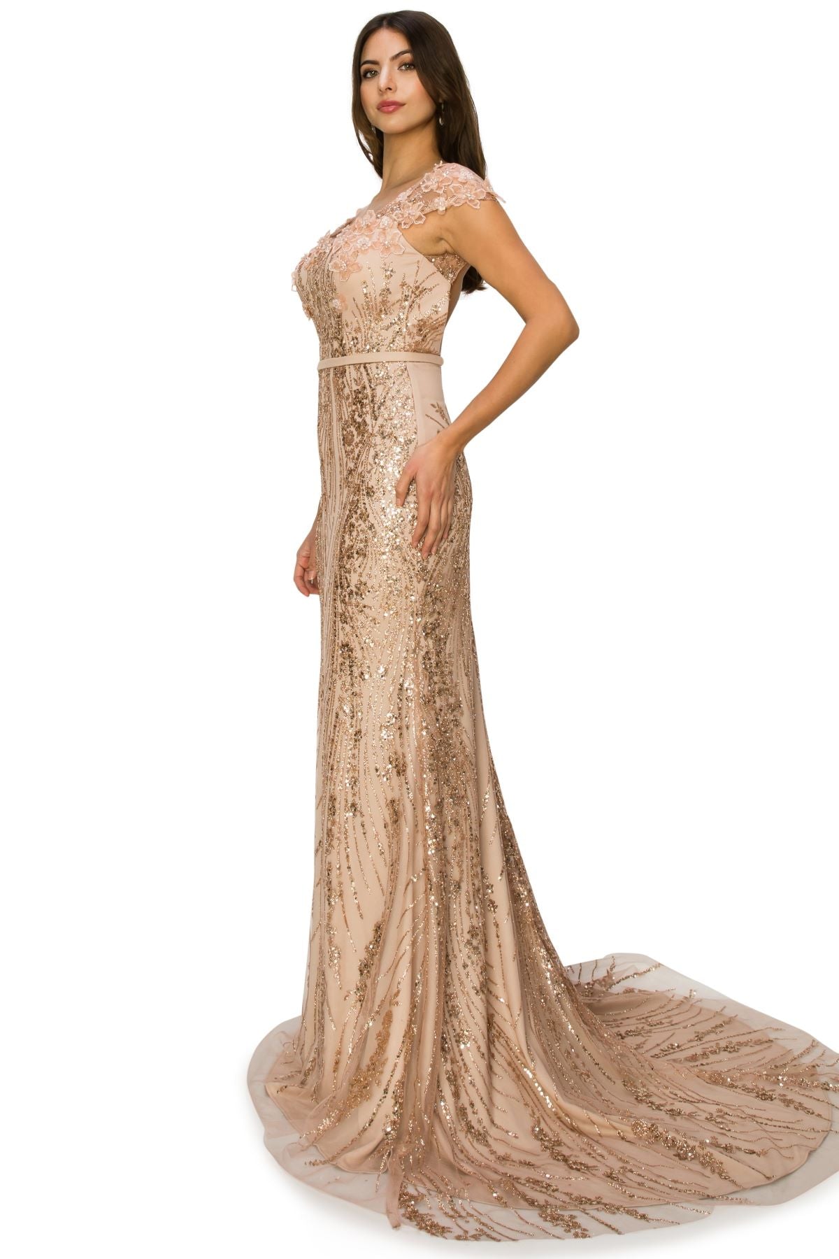 Rosegold long sequin dress alternative