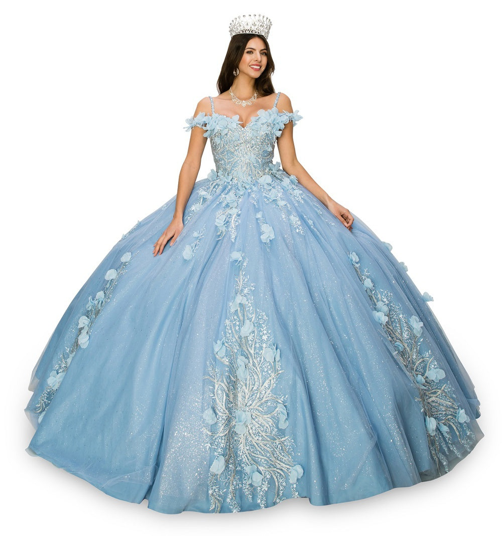 Blue floral applique ball gown alternative