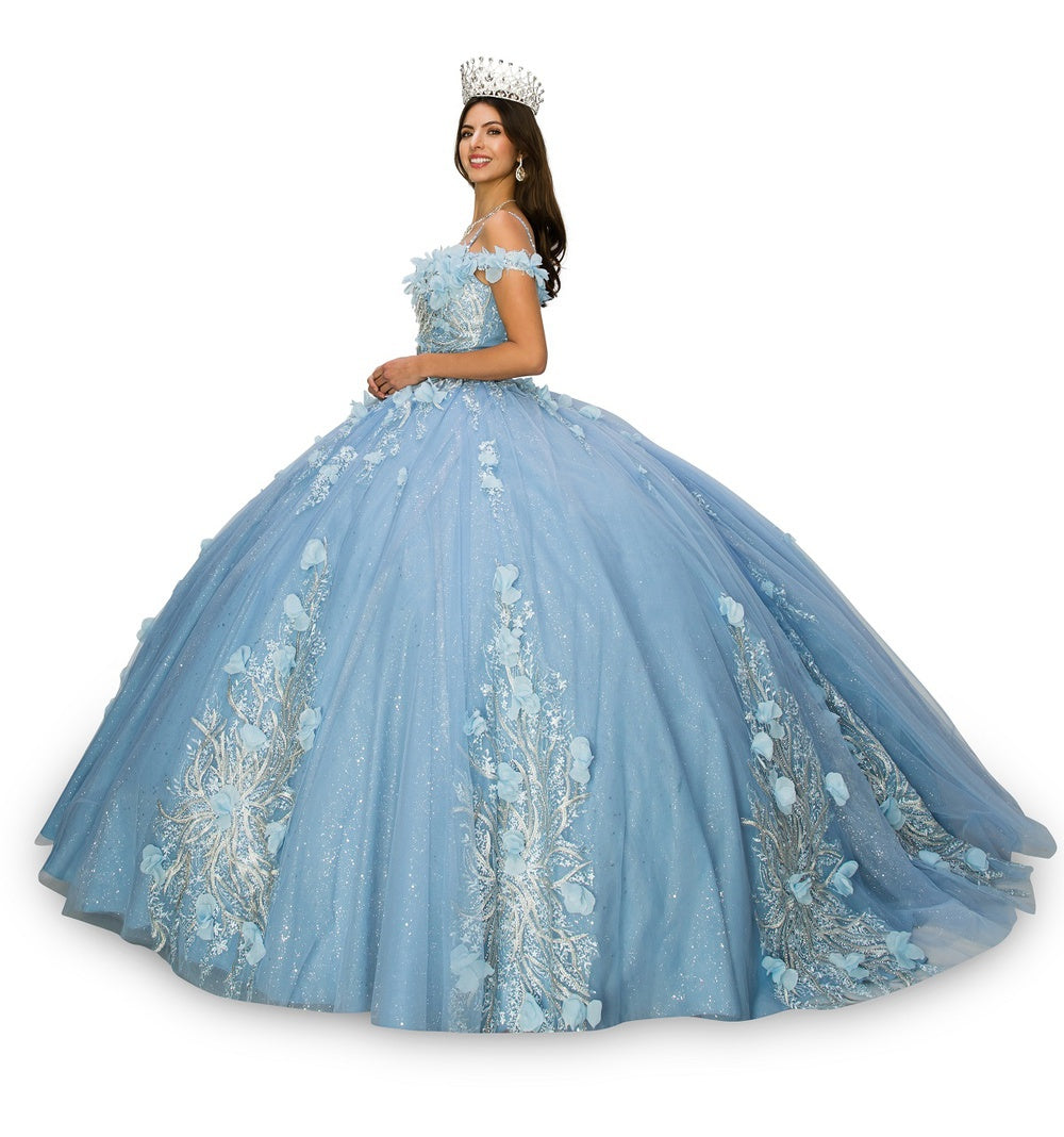 Blue floral applique ball gown alternative