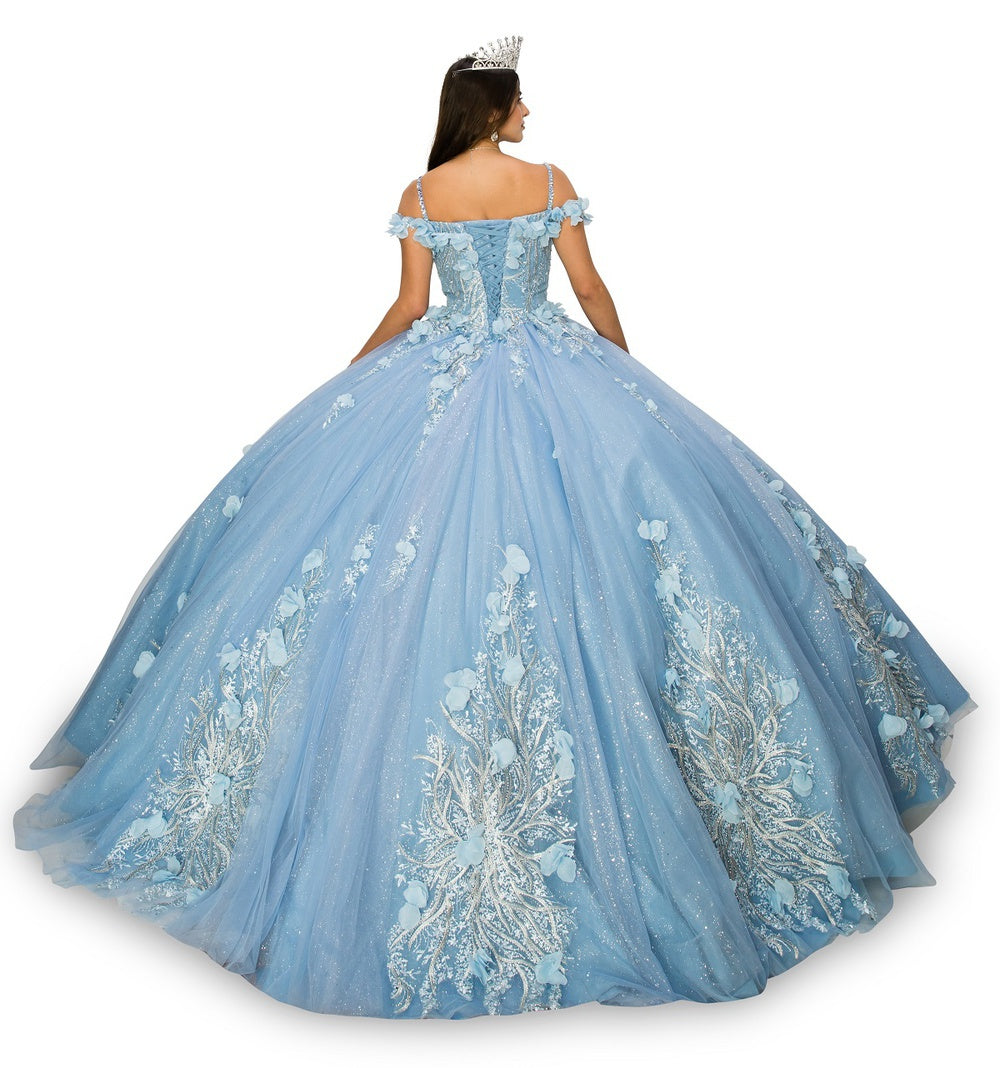 Back of the blue floral applique ball gown
