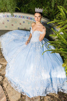 Blue princess ball gown wedding dress alternative