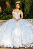 Blue princess ball gown wedding dress