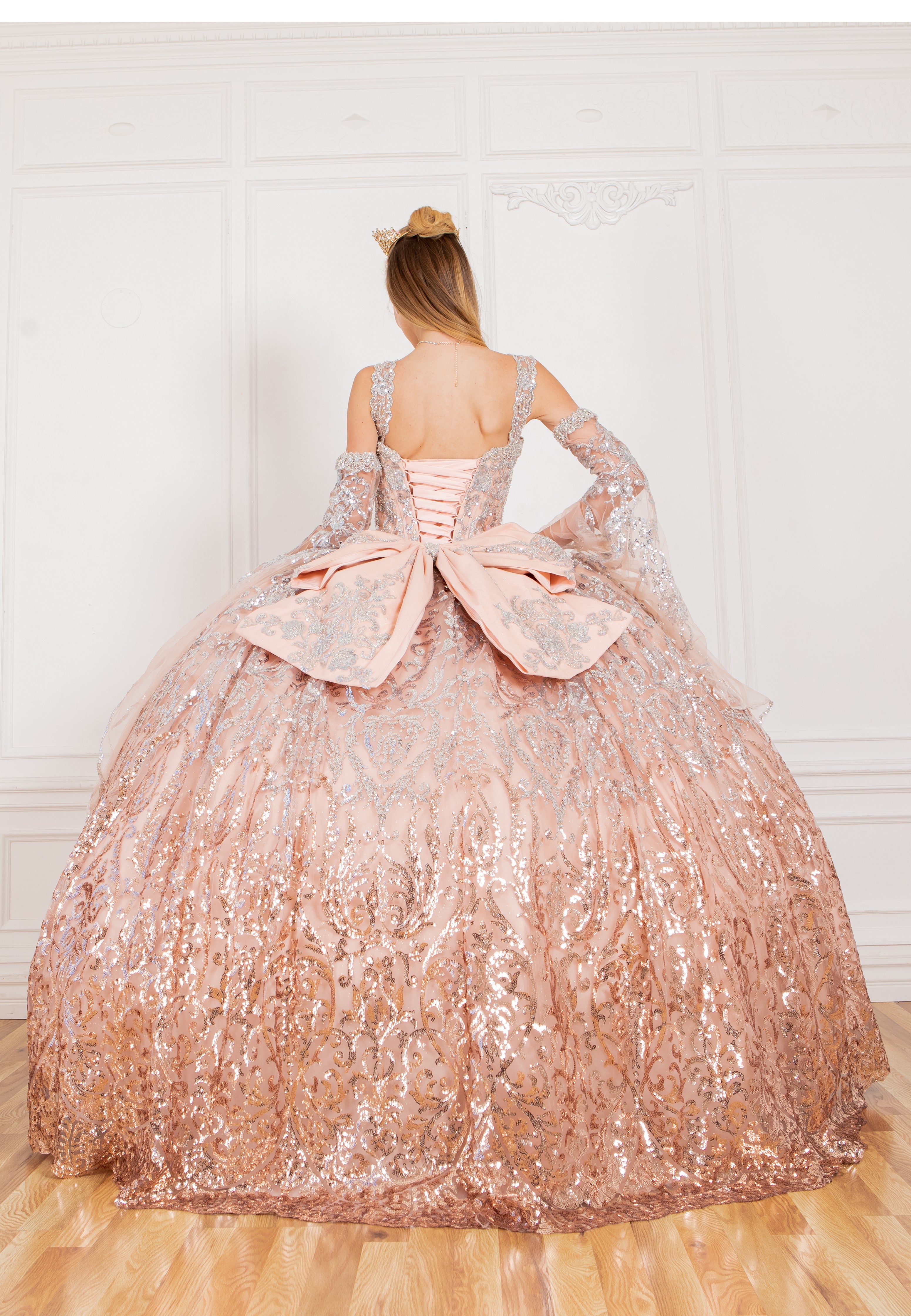 Back of the rose quinceanera dress with sleeves