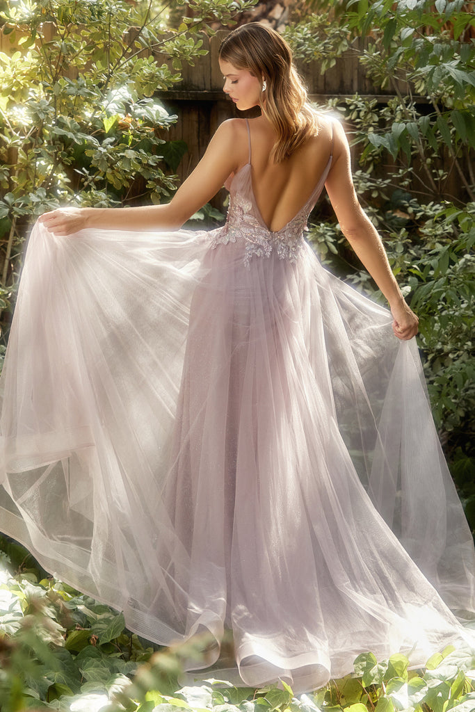 Iridescent Sequin Applique A-line Dress, V-neck/V-back Bodice, Embellished-smcdress