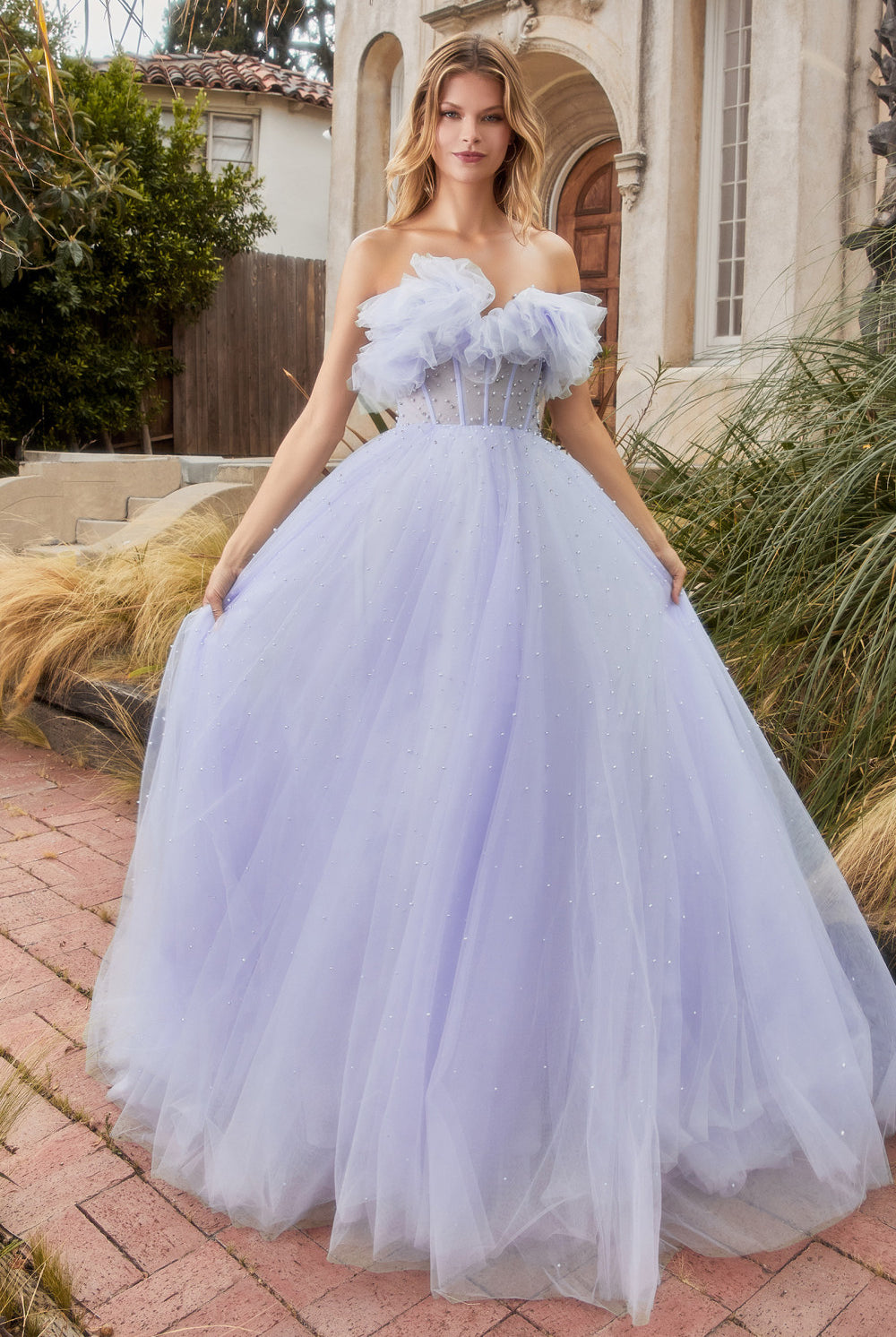 Pearl Gown: Tulle, Strapless, Open Back, Long-smcdress
