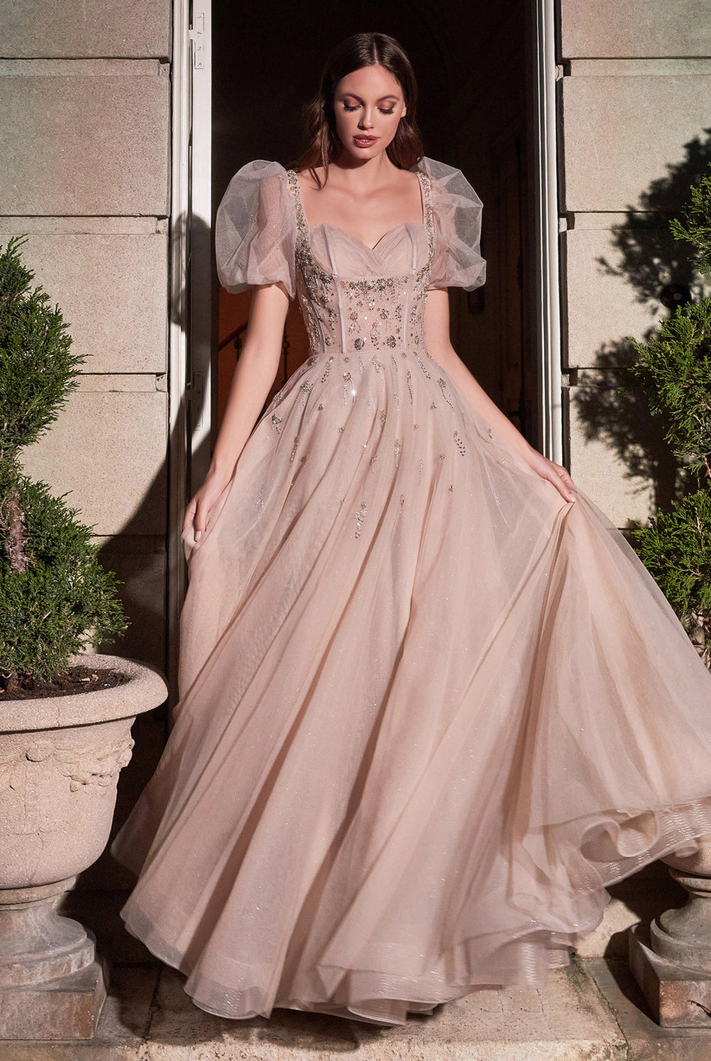 Retro Princess Gown Laced Bodice Tulle Skirt-smcdress