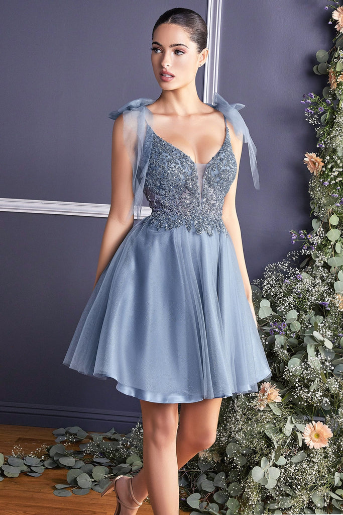 Tulle A-Line Dress-smcdress