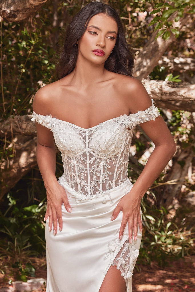 Off-shoulder lace bodice gown-smcdress
