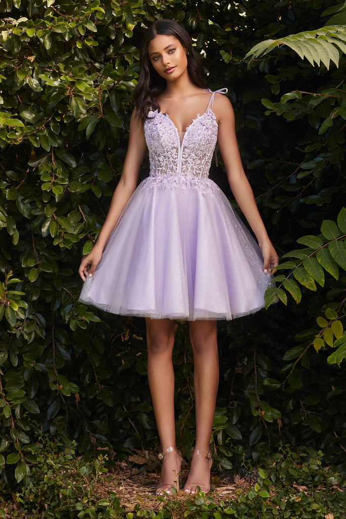 Tulle & Lace Dress-smcdress